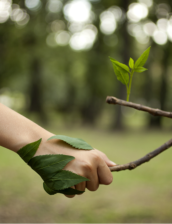 BAYMAK ENVIRONMENT AND ENERGY POLICY