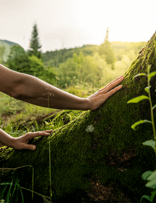 R32 GAZLI VE ÇEVRECİ